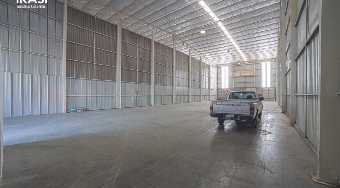 12 de tamaño grande