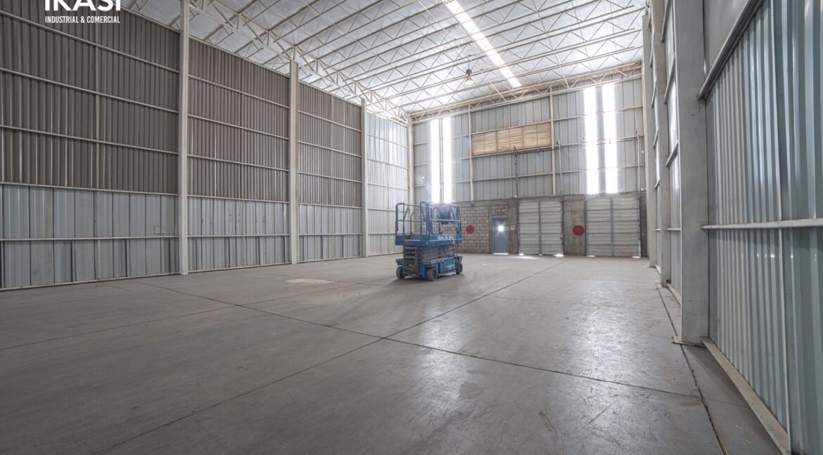 13 de tamaño grande