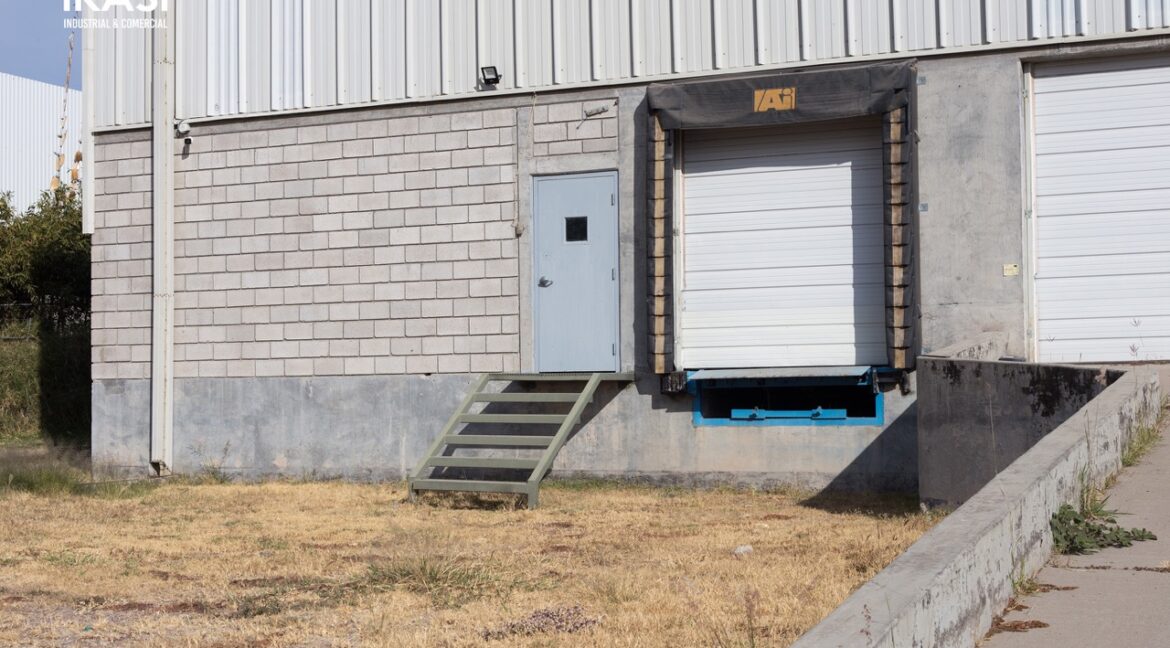 25 de tamaño grande