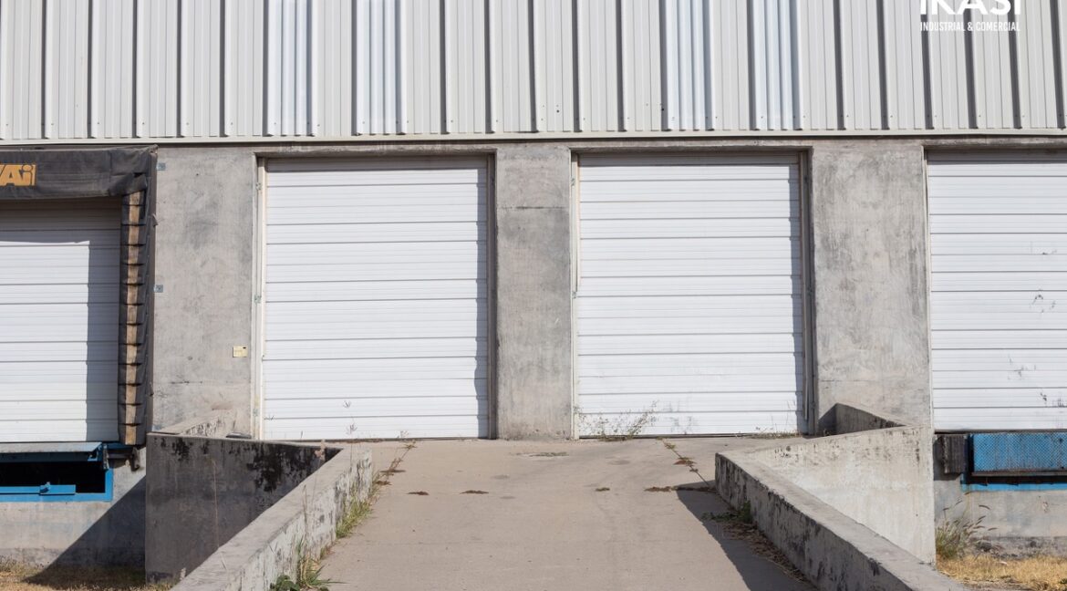 26 de tamaño grande