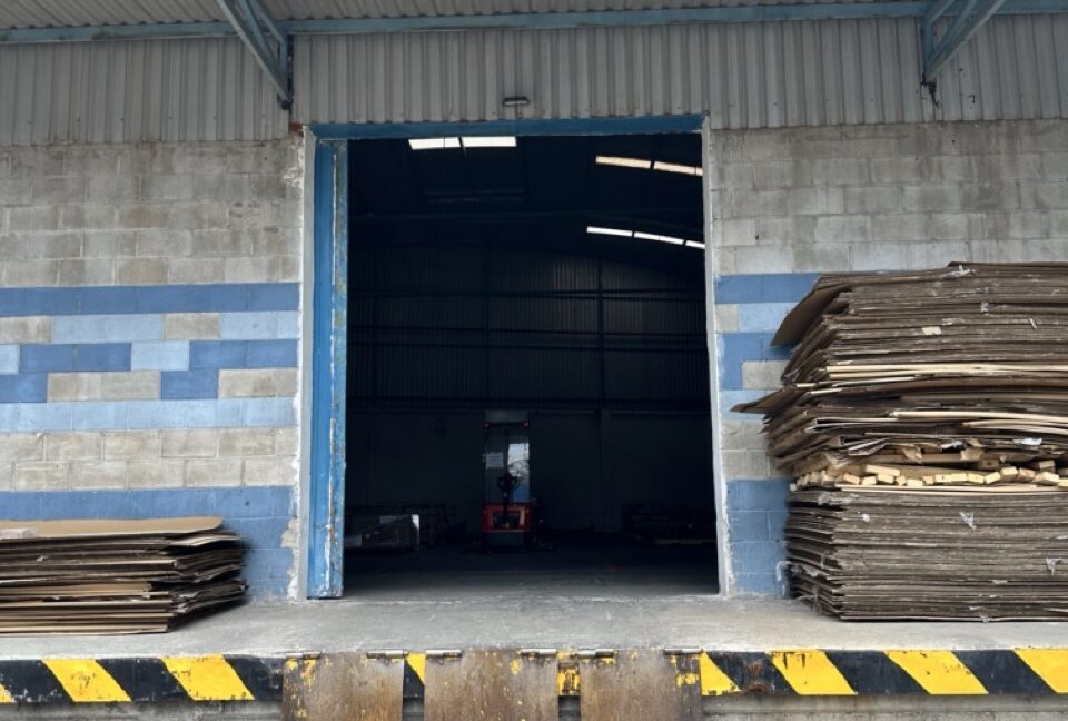 IMG_5985 de tamaño grande (vertical)