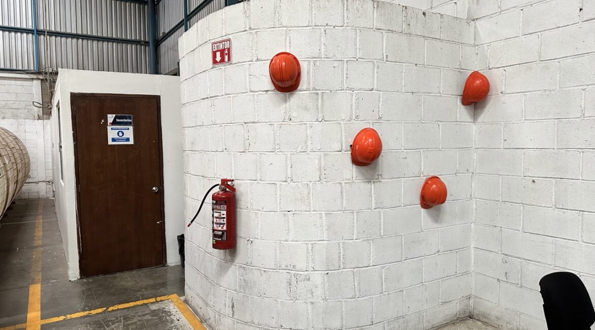 IMG_5991 de tamaño grande