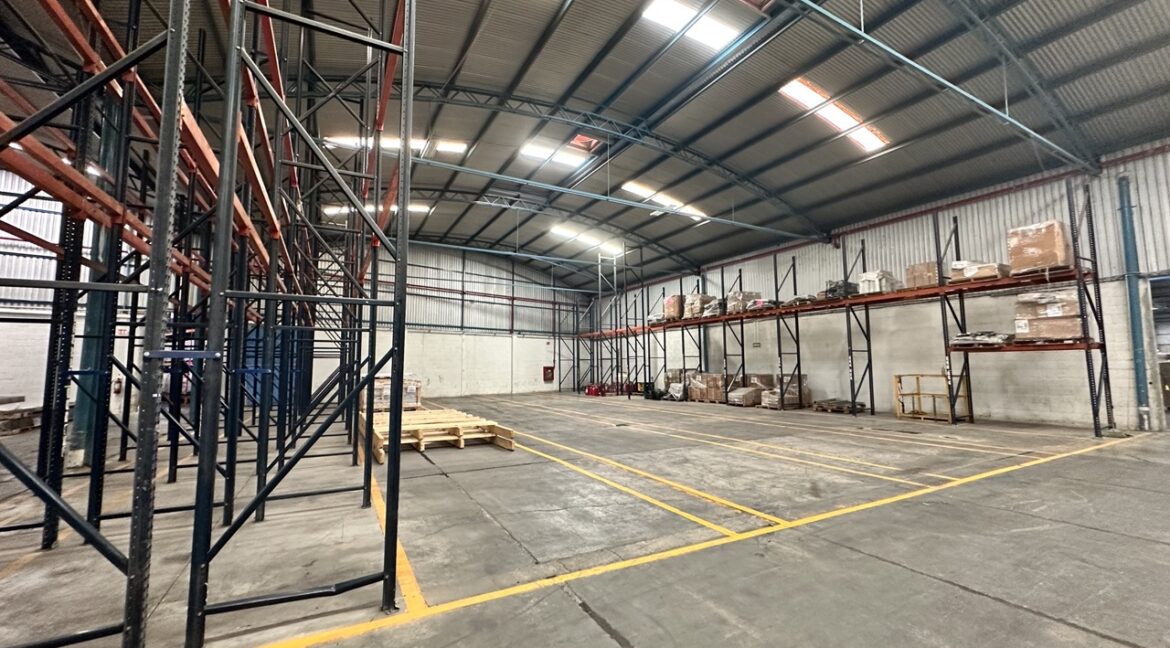 IMG_5992 de tamaño grande