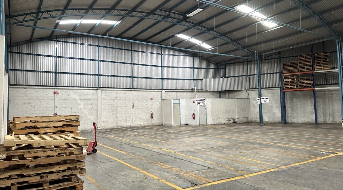 IMG_5995 de tamaño grande