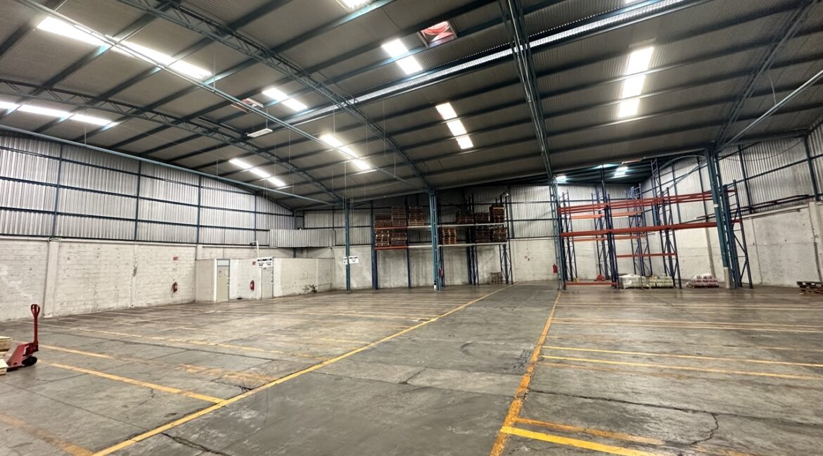 IMG_5998 de tamaño grande