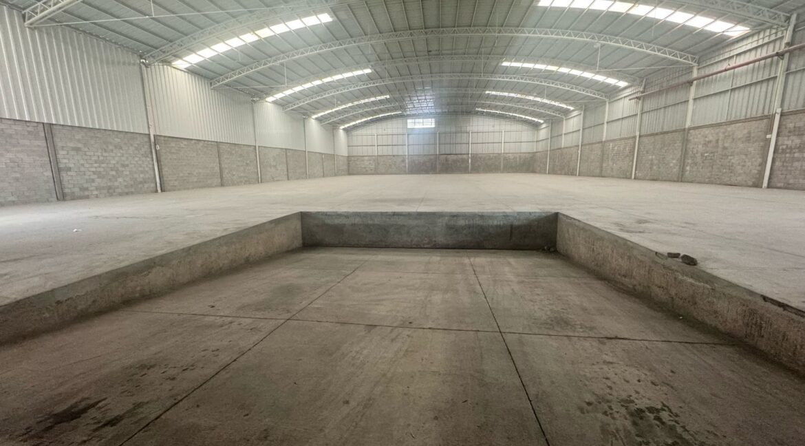 PHOTO-2025-07-01-17-42-17 1