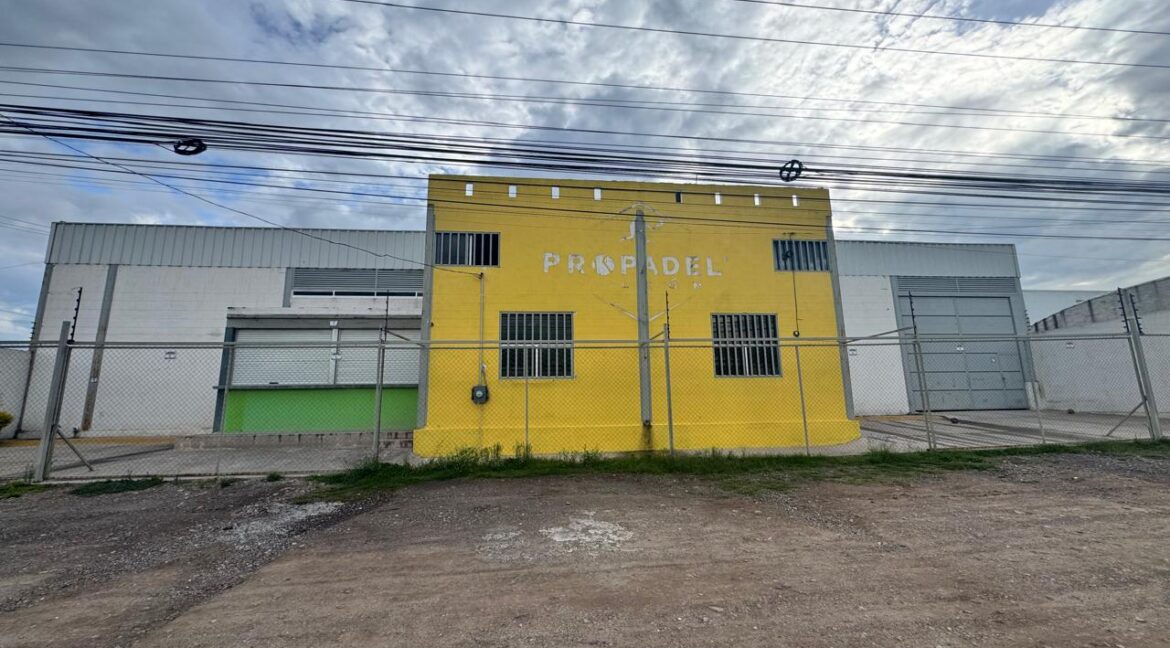 PHOTO-2025-07-12-09-38-56 2